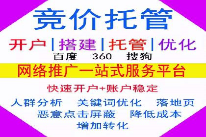 SEM推广优化实战：案例分析与启示